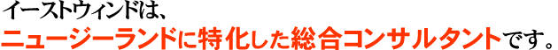 ニュージーランドに特化した総合コンサルタント